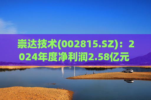 崇达技术(002815.SZ)：2024年度净利润2.58亿元 拟10派1.2元  第1张