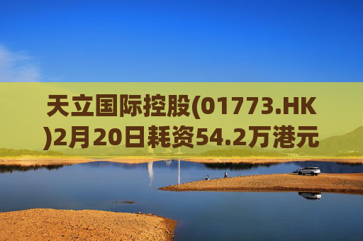 天立国际控股(01773.HK)2月20日耗资54.2万港元回购20万股  第1张