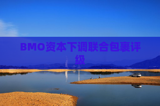 BMO资本下调联合包裹评级  第1张