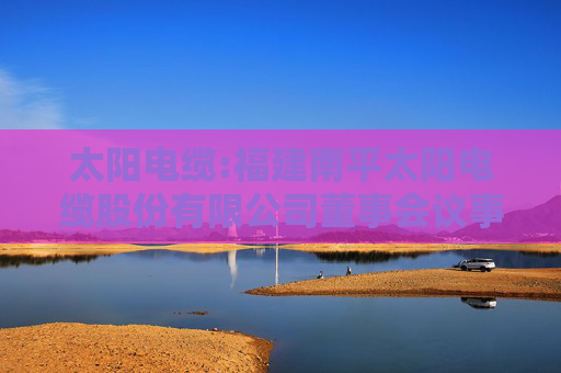 太阳电缆:福建南平太阳电缆股份有限公司董事会议事规则（2025年4月修订）