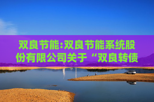 双良节能:双良节能系统股份有限公司关于“双良转债”转股数量累计达到转股前公司已发行股份总额10%暨股份变动的公告  第1张