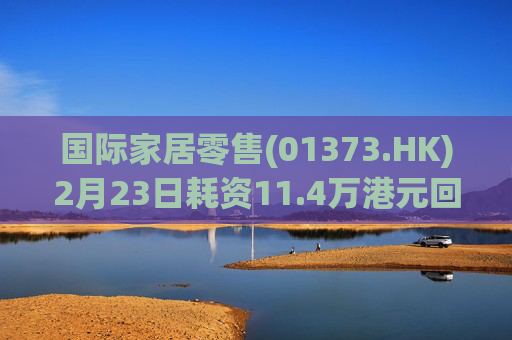 国际家居零售(01373.HK)2月23日耗资11.4万港元回购15万股