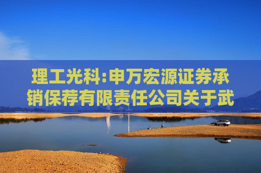 理工光科:申万宏源证券承销保荐有限责任公司关于武汉理工光科股份有限公司使用部分闲置募集资金进行现金管理的核查意见  第1张