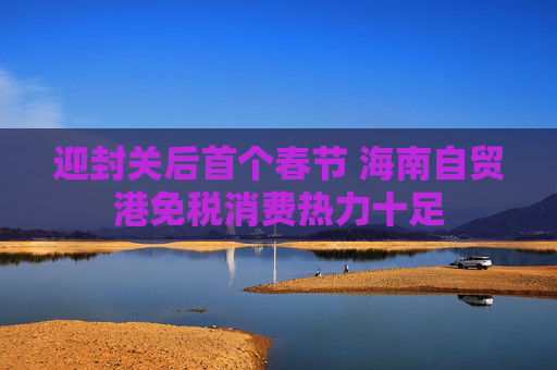 迎封关后首个春节 海南自贸港免税消费热力十足
