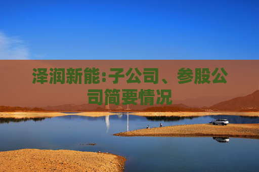 泽润新能:子公司、参股公司简要情况  第1张