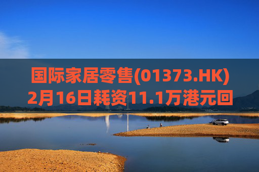 国际家居零售(01373.HK)2月16日耗资11.1万港元回购15万股