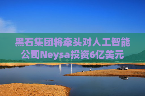 黑石集团将牵头对人工智能公司Neysa投资6亿美元