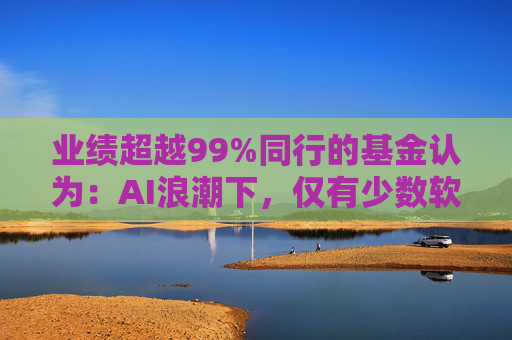 业绩超越99%同行的基金认为：AI浪潮下，仅有少数软件公司能存活