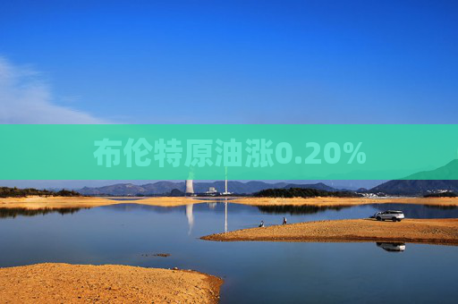布伦特原油涨0.20%  第1张