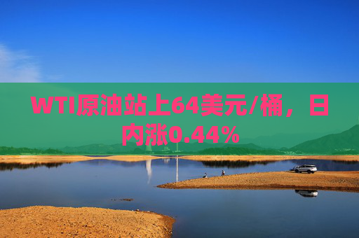 WTI原油站上64美元/桶，日内涨0.44%  第1张