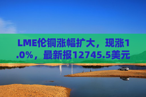 LME伦铜涨幅扩大，现涨1.0%，最新报12745.5美元/吨