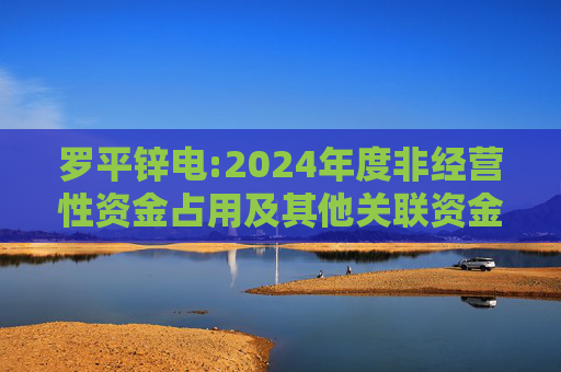 罗平锌电:2024年度非经营性资金占用及其他关联资金往来情况汇总表