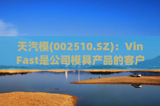 天汽模(002510.SZ)：VinFast是公司模具产品的客户