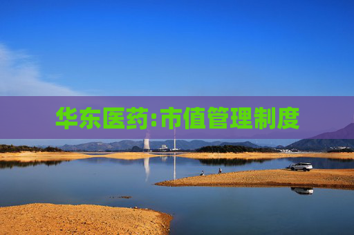 华东医药:市值管理制度  第1张