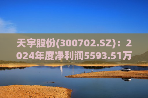 天宇股份(300702.SZ)：2024年度净利润5593.51万元 拟10派0.5元