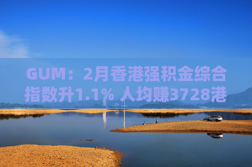GUM：2月香港强积金综合指数升1.1% 人均赚3728港元