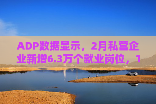 ADP数据显示,2月私营企业新增6.3万个就业岗位,1月数据下修至仅新增1.1万个 第1张 ADP数据显示,2月私营企业新增6.3万个就业岗位,1月数据下修至仅新增1.1万个 第1张