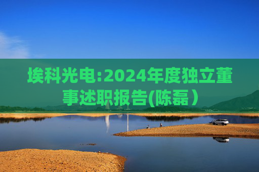 埃科光电:2024年度独立董事述职报告(陈磊）