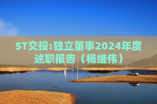 ST交投:独立董事2024年度述职报告（杨继伟）