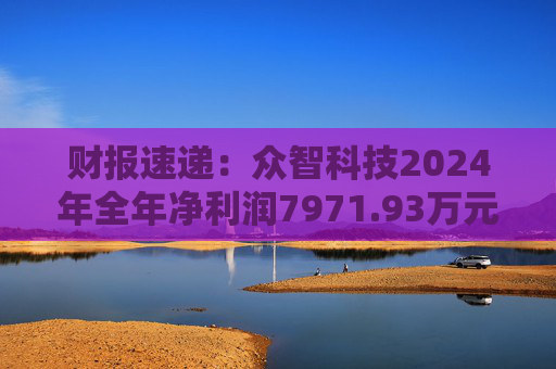 财报速递：众智科技2024年全年净利润7971.93万元