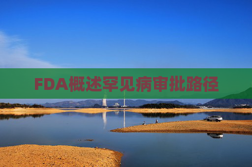FDA概述罕见病审批路径