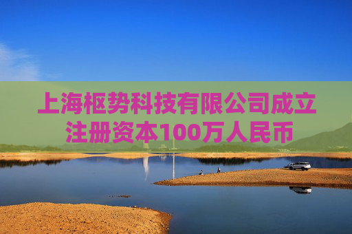上海枢势科技有限公司成立 注册资本100万人民币