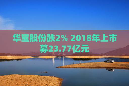 华宝股份跌2% 2018年上市募23.77亿元 第1张 华宝股份跌2% 2018年上市募23.77亿元 第1张