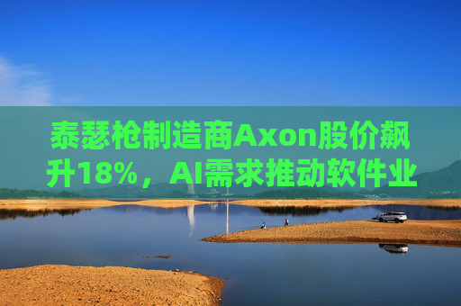 泰瑟枪制造商Axon股价飙升18%，AI需求推动软件业务增长  第1张