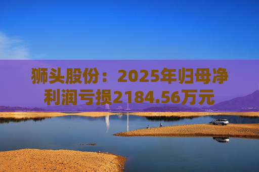 狮头股份：2025年归母净利润亏损2184.56万元