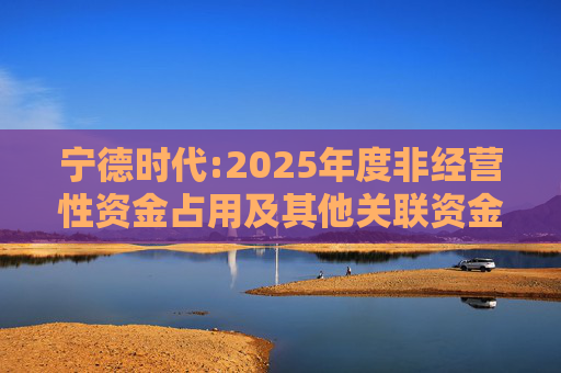 宁德时代:2025年度非经营性资金占用及其他关联资金往来情况汇总表