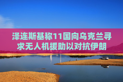 泽连斯基称11国向乌克兰寻求无人机援助以对抗伊朗  第1张