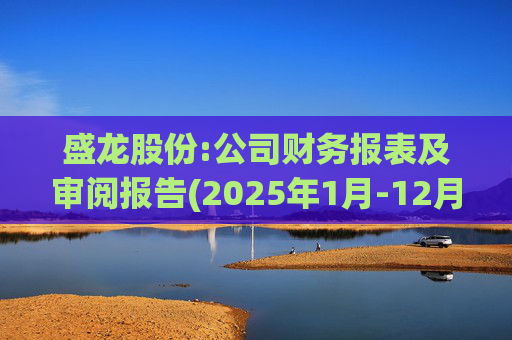 盛龙股份:公司财务报表及审阅报告(2025年1月-12月)