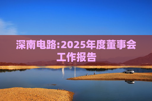 深南电路:2025年度董事会工作报告