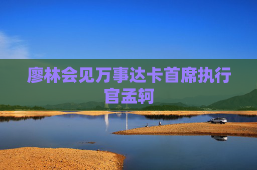 廖林会见万事达卡首席执行官孟轲  第1张