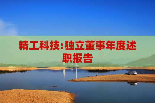 精工科技:独立董事年度述职报告