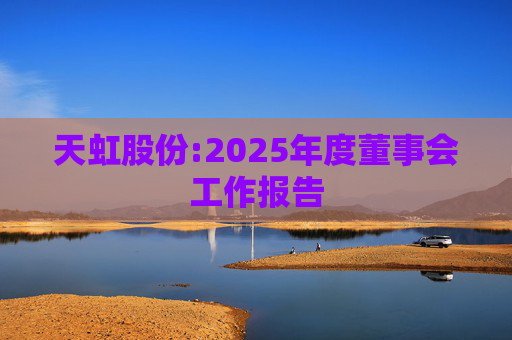 天虹股份:2025年度董事会工作报告