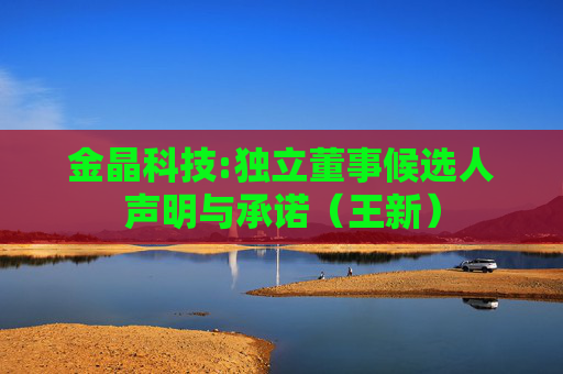金晶科技:独立董事候选人声明与承诺（王新）