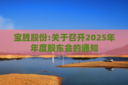 宝胜股份:关于召开2025年年度股东会的通知