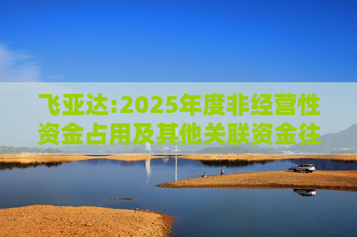 飞亚达:2025年度非经营性资金占用及其他关联资金往来情况汇总表