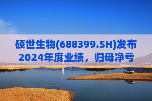 硕世生物(688399.SH)发布2024年度业绩，归母净亏损200万元  第1张