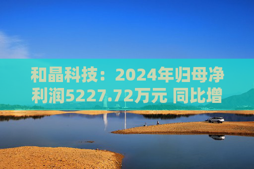 和晶科技：2024年归母净利润5227.72万元 同比增长16.75%