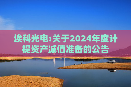 埃科光电:关于2024年度计提资产减值准备的公告  第1张