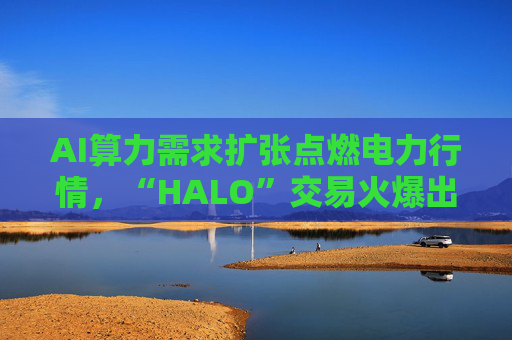 AI算力需求扩张点燃电力行情，“HALO”交易火爆出圈！电力ETF（561560）份额创新高