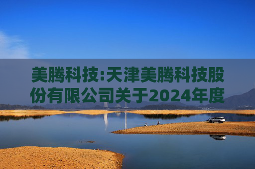 美腾科技:天津美腾科技股份有限公司关于2024年度利润分配预案的公告