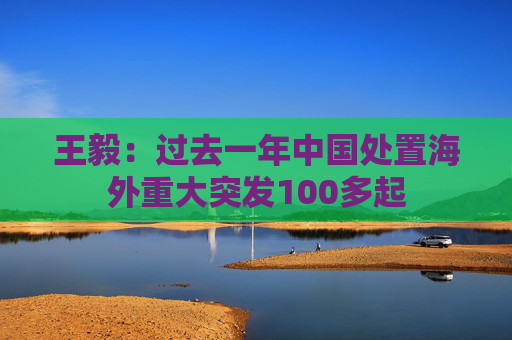王毅：过去一年中国处置海外重大突发100多起  第1张