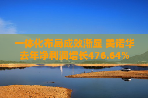 一体化布局成效渐显 美诺华去年净利润增长476.64%