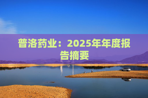 普洛药业:2025年年度报告摘要