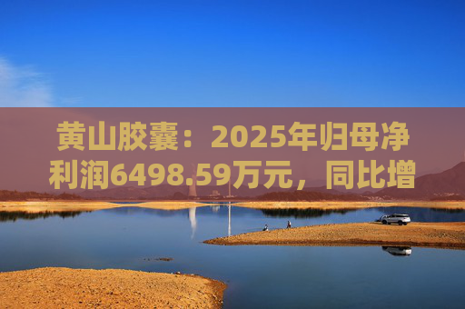 黄山胶囊：2025年归母净利润6498.59万元，同比增长31.94%