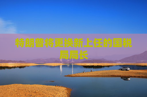 特朗普将更换新上任的国税局局长