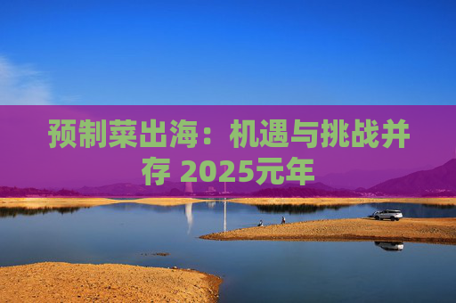 预制菜出海：机遇与挑战并存 2025元年  第1张
